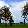 DSC03406_ (2).jpg