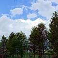 DSC03417_ (2).jpg