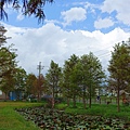 DSC03418_ (2).jpg