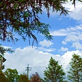DSC03430_.jpg