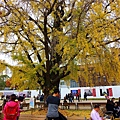 DSC05504_.jpg