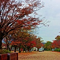 DSC05537_.jpg