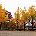 IMG_2365_.jpg