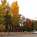 IMG_2373_.jpg