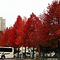 IMG_2374_.jpg