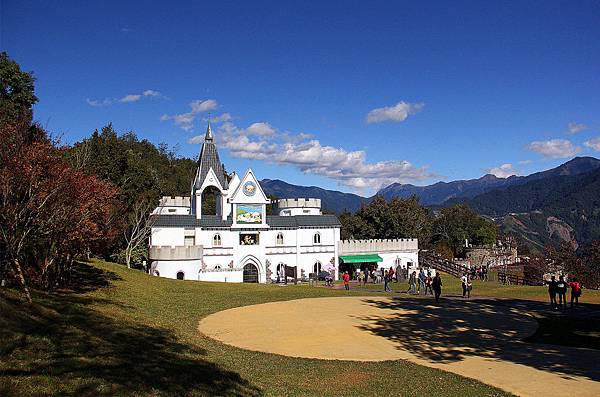 【全國最高天空步道】清境農場 楓葉與落羽松變色之美