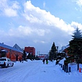 DSC00430_.jpg