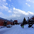DSC00431_.jpg