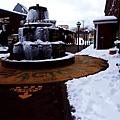 DSC00453_.jpg