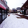 DSC00454_.jpg