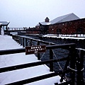 DSC00487_.jpg