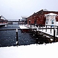 DSC00491_.jpg
