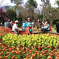 DSC01547_.jpg