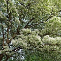 DSC03065_.jpg