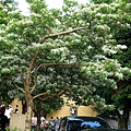 DSC03066_.jpg