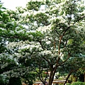 DSC03067_.jpg