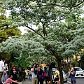 DSC03073_.jpg