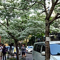 DSC03074_.jpg