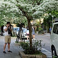 DSC03077_.jpg