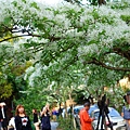 DSC03078_.jpg