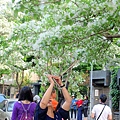 DSC03080_.jpg