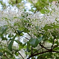 DSC03082_.jpg