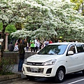 DSC03099_.jpg
