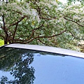 DSC03103_.jpg