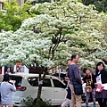 DSC03105_.jpg