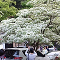DSC03107_.jpg