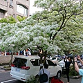 DSC03114_.jpg