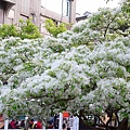 DSC03116_.jpg