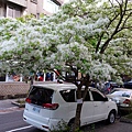 DSC03117_.jpg