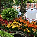 DSC03158_.jpg