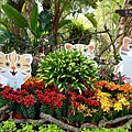 DSC03160_.jpg