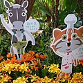 DSC03164_.jpg