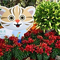 DSC03165_.jpg