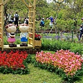 DSC03167_.jpg