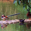 _MG_5400_.jpg