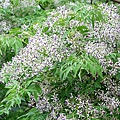 DSC03733_.jpg