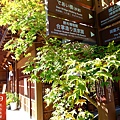 DSC00803_.jpg