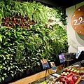 DSC07635_.jpg