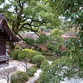 DSC02298_.jpg