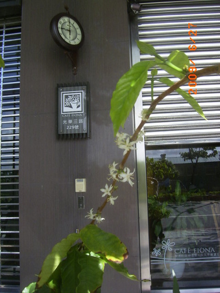 RIMG0045.JPG RIMG0045.JPG