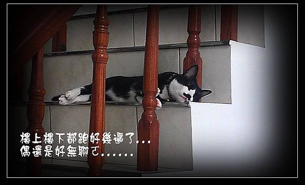 01IMAG0221_調整大小03 01IMAG0221_調整大小03