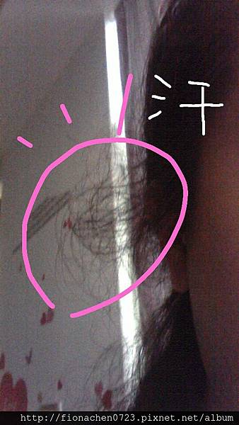 IMG_20131214_1.jpg IMG_20131214_1.jpg