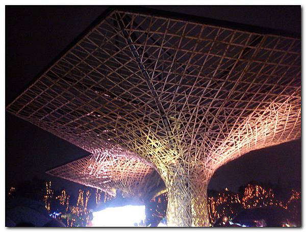 DSC00873_大小.jpg DSC00873_大小.jpg