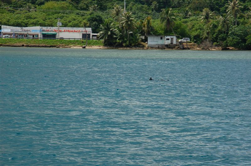 DSC_7402.JPG DSC_7402.JPG