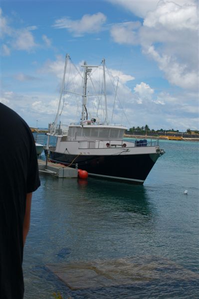 DSC_7425.JPG DSC_7425.JPG