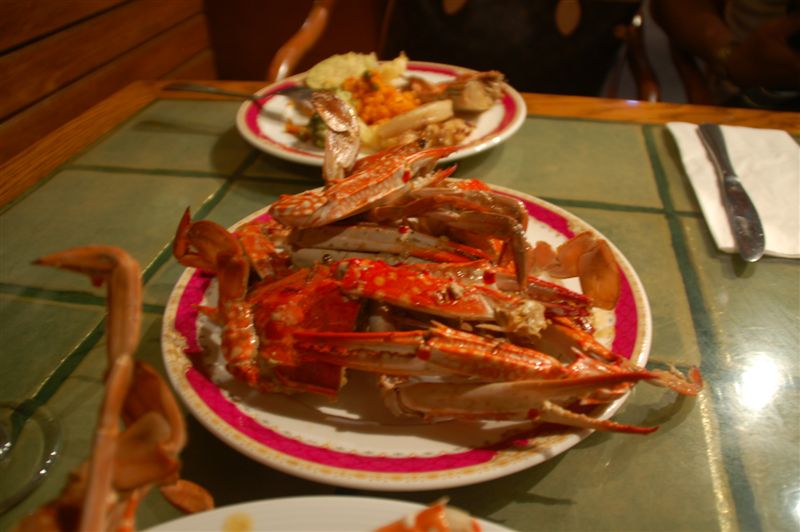 DSC_7892.JPG DSC_7892.JPG